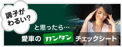 愛車のカンタンチェックシート